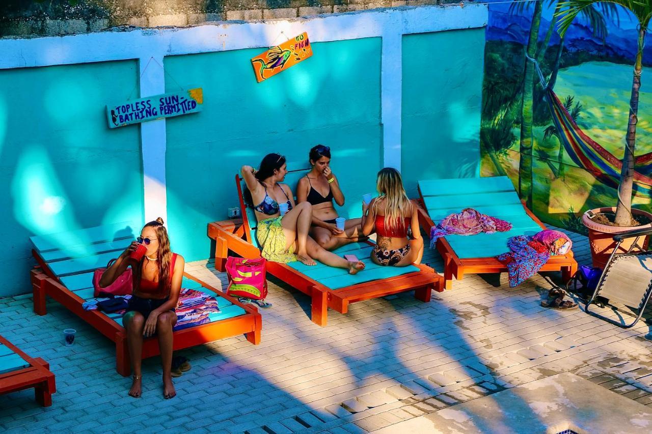 Blue Iguana Hotel Samara Bagian luar foto