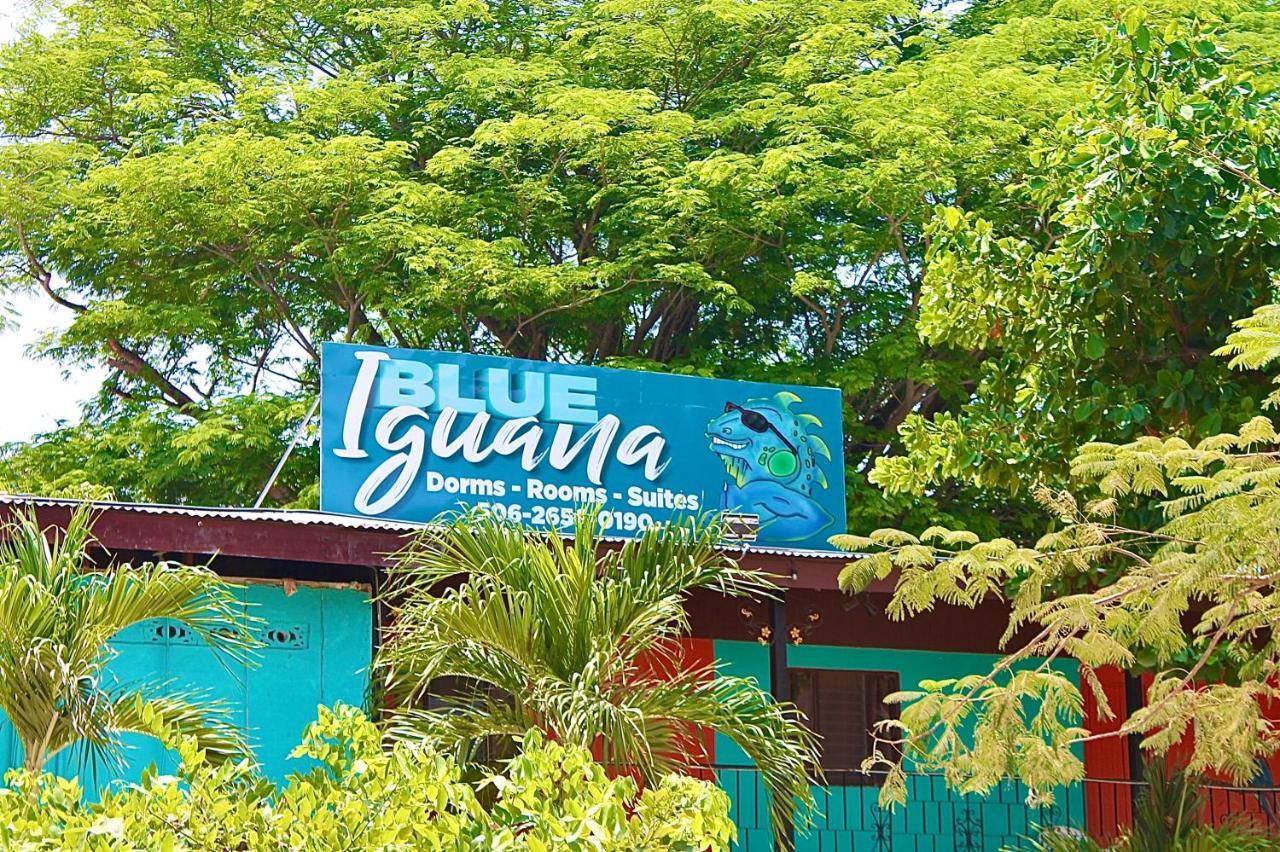 Blue Iguana Hotel Samara Bagian luar foto