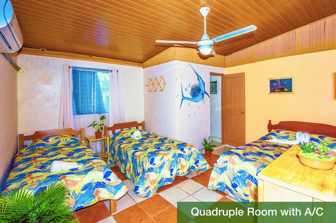 Blue Iguana Hotel Samara Bagian luar foto