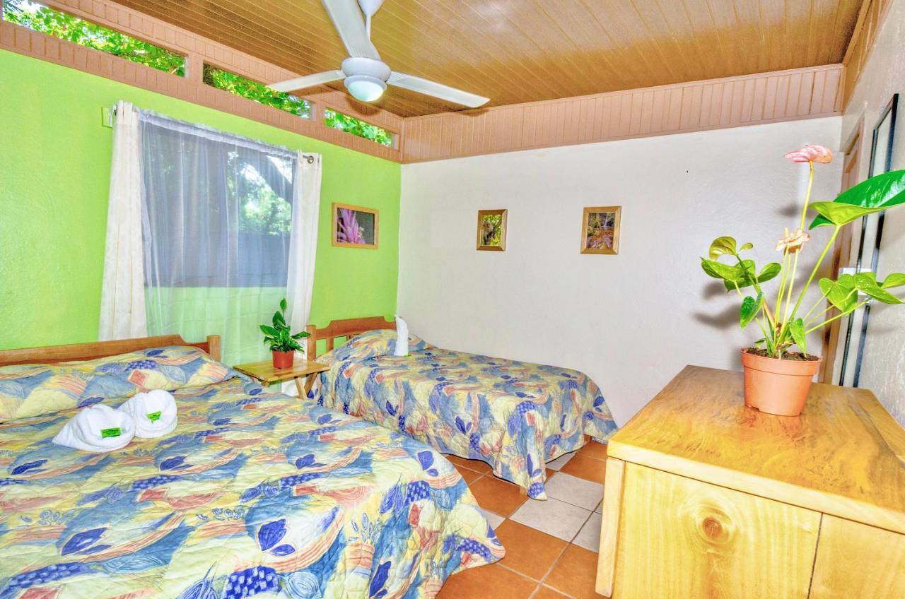 Blue Iguana Hotel Samara Bagian luar foto