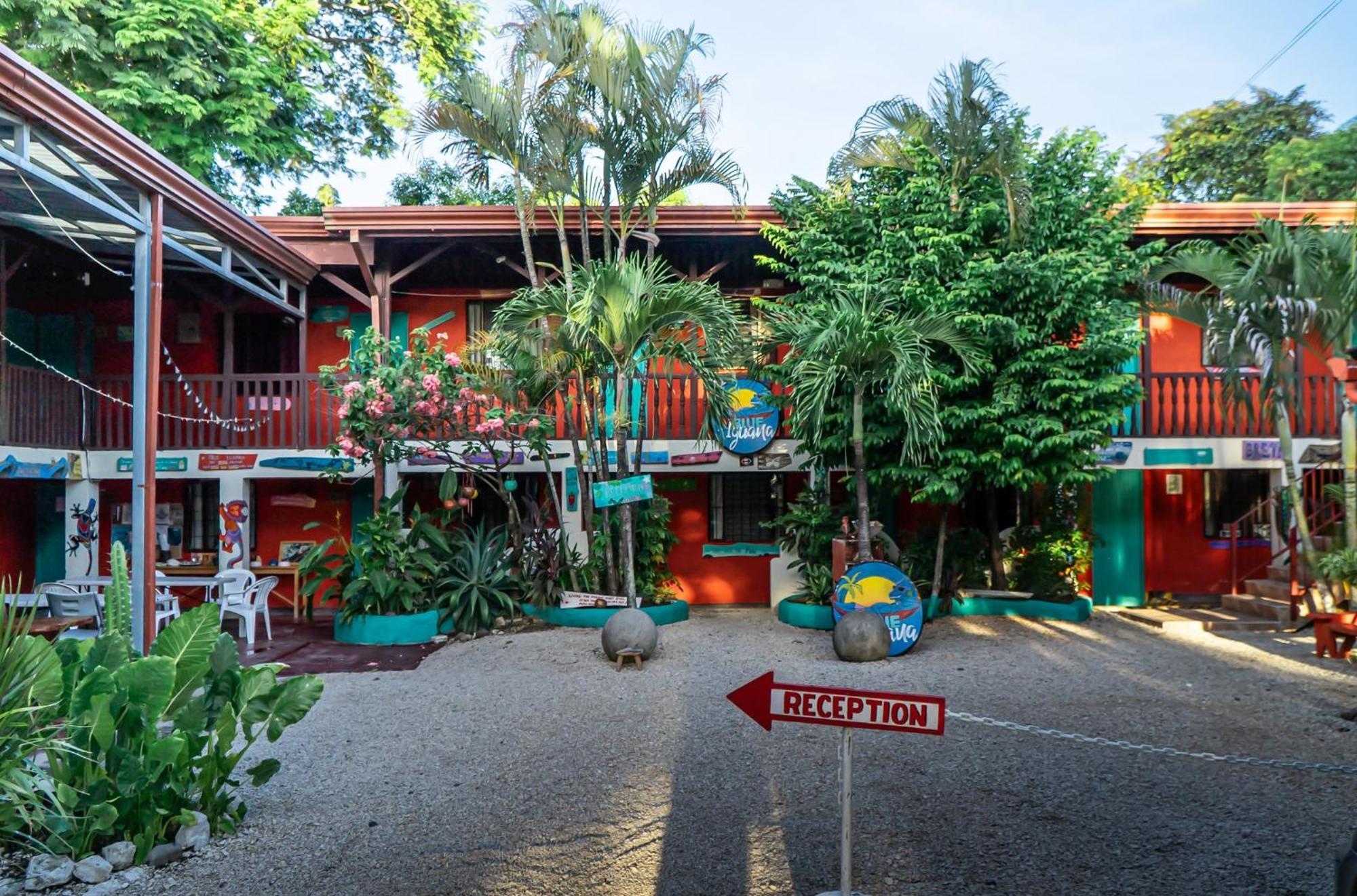 Blue Iguana Hotel Samara Bagian luar foto