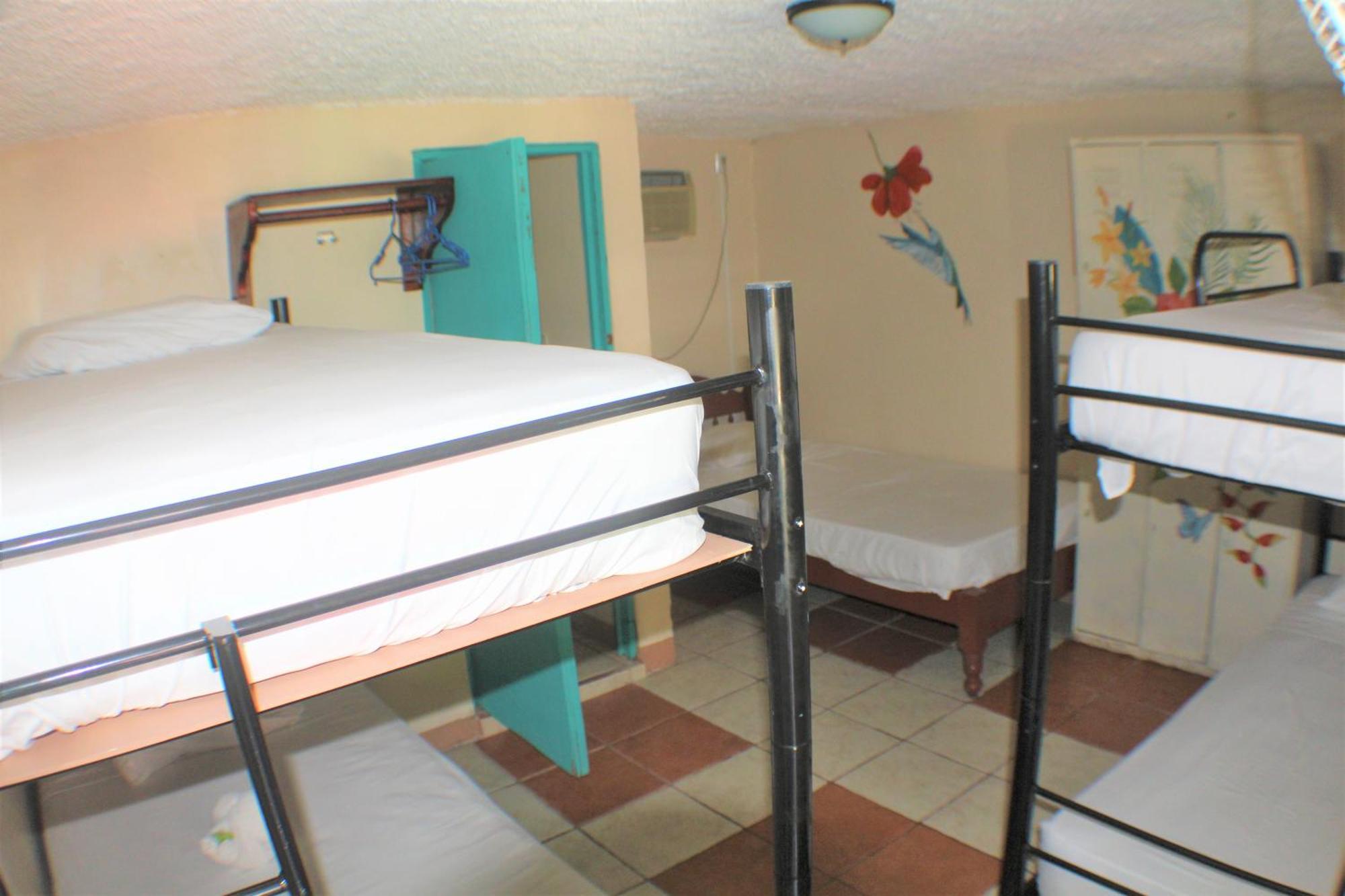 Blue Iguana Hotel Samara Bagian luar foto
